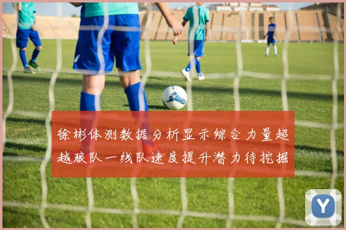 徐彬体测数据分析显示综合力量超越狼队一线队速度提升潜力待挖掘